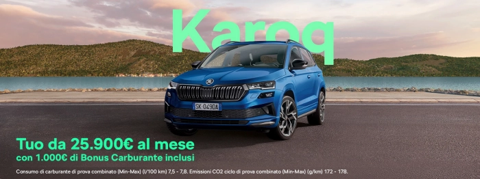  Skoda Karoq