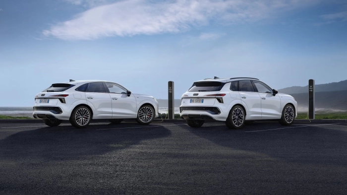 Gamma Plug-in Hybrid