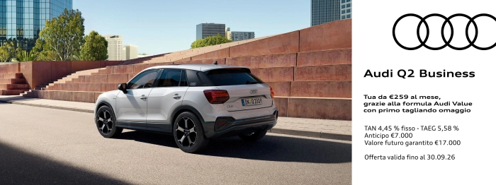 Audi Q2 Business