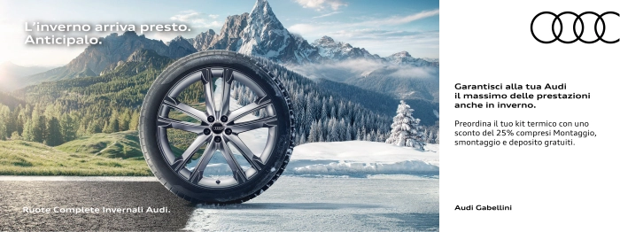 Prepara la tua Audi all'inverno, oggi.