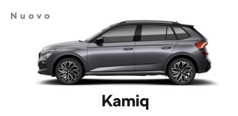 Skoda Kamiq