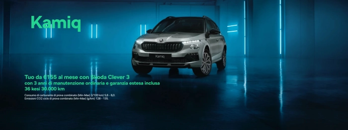 Nuovo Skoda Kamiq 
