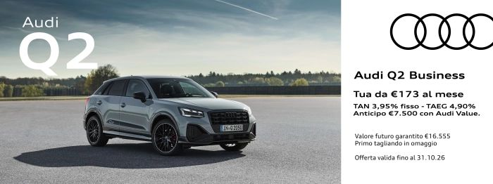 Audi Q2 Business